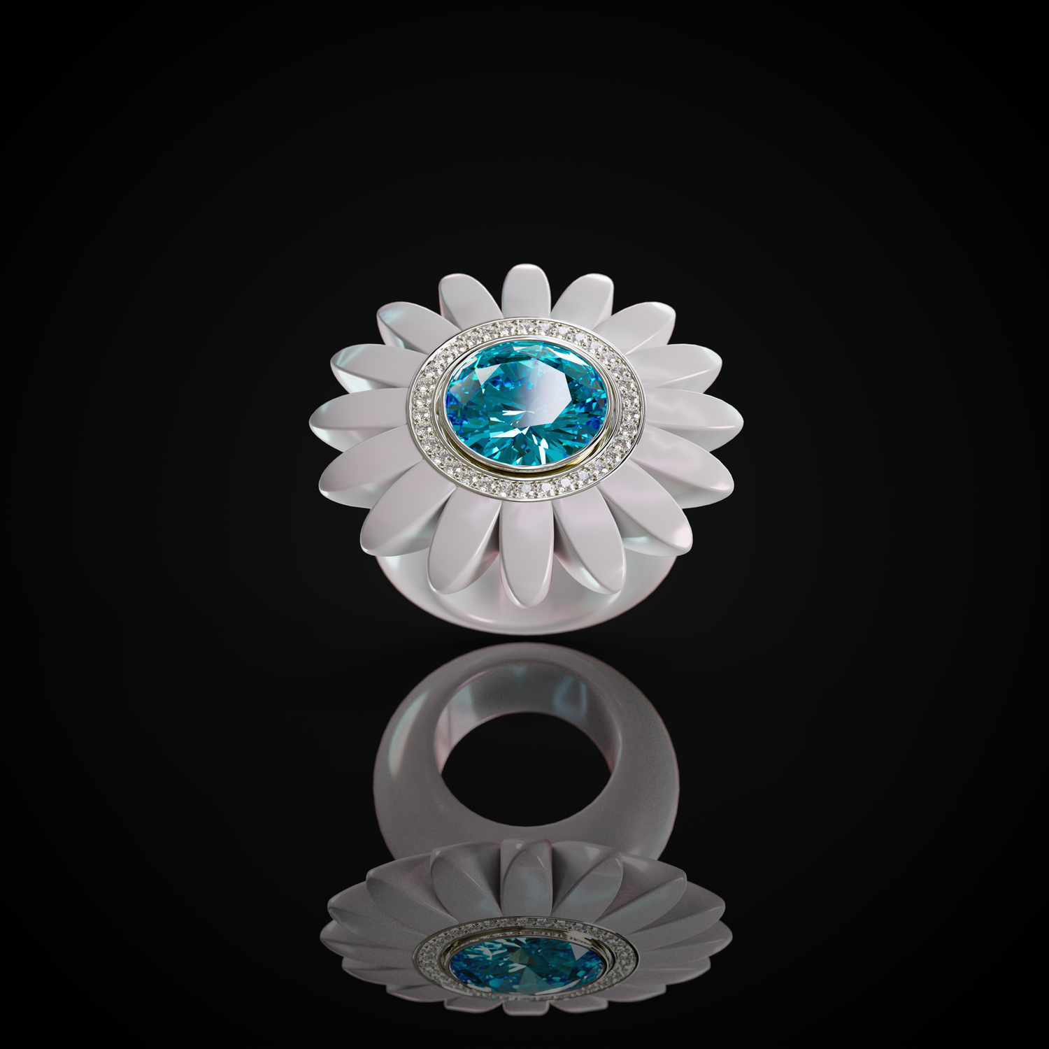 The Barberton Daisy