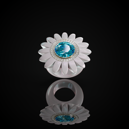 The Barberton Daisy