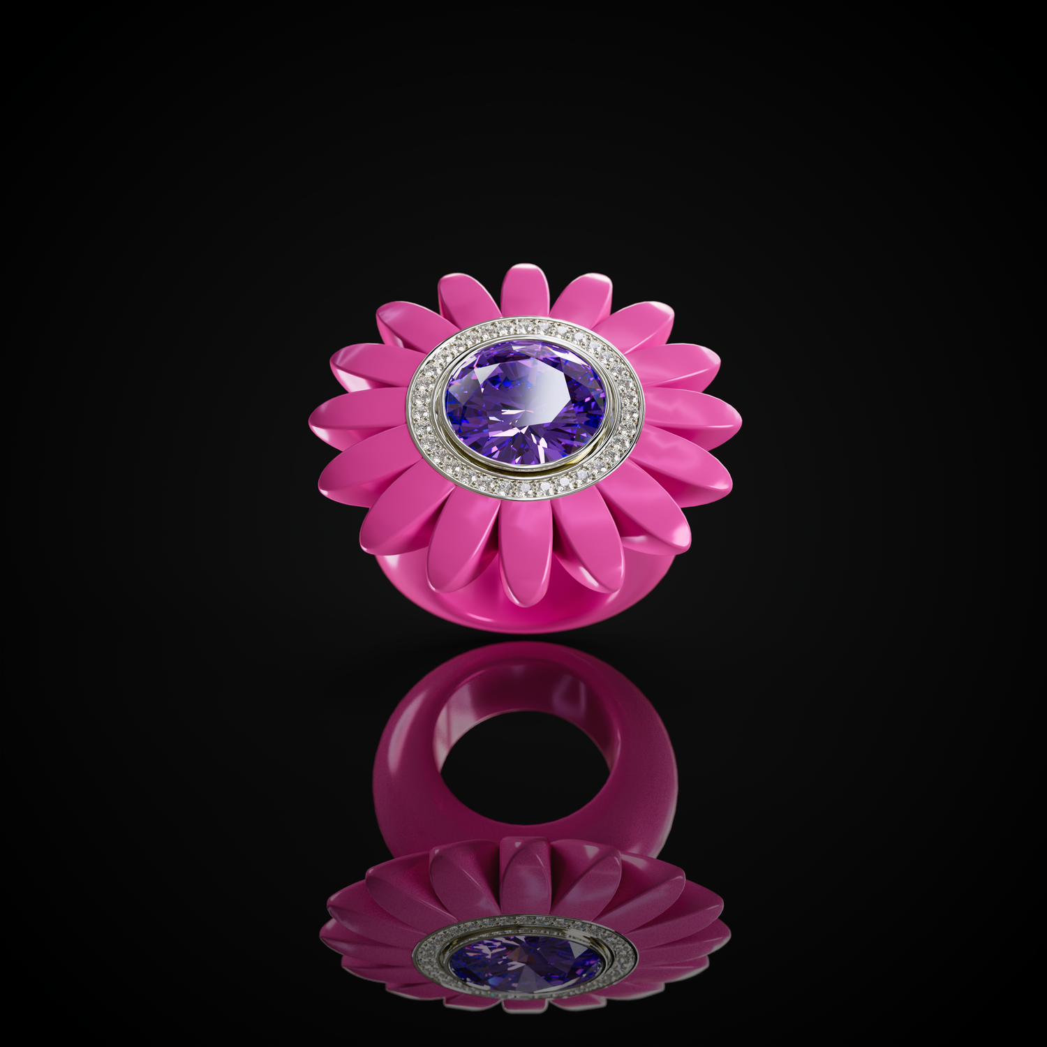 The Barberton Daisy