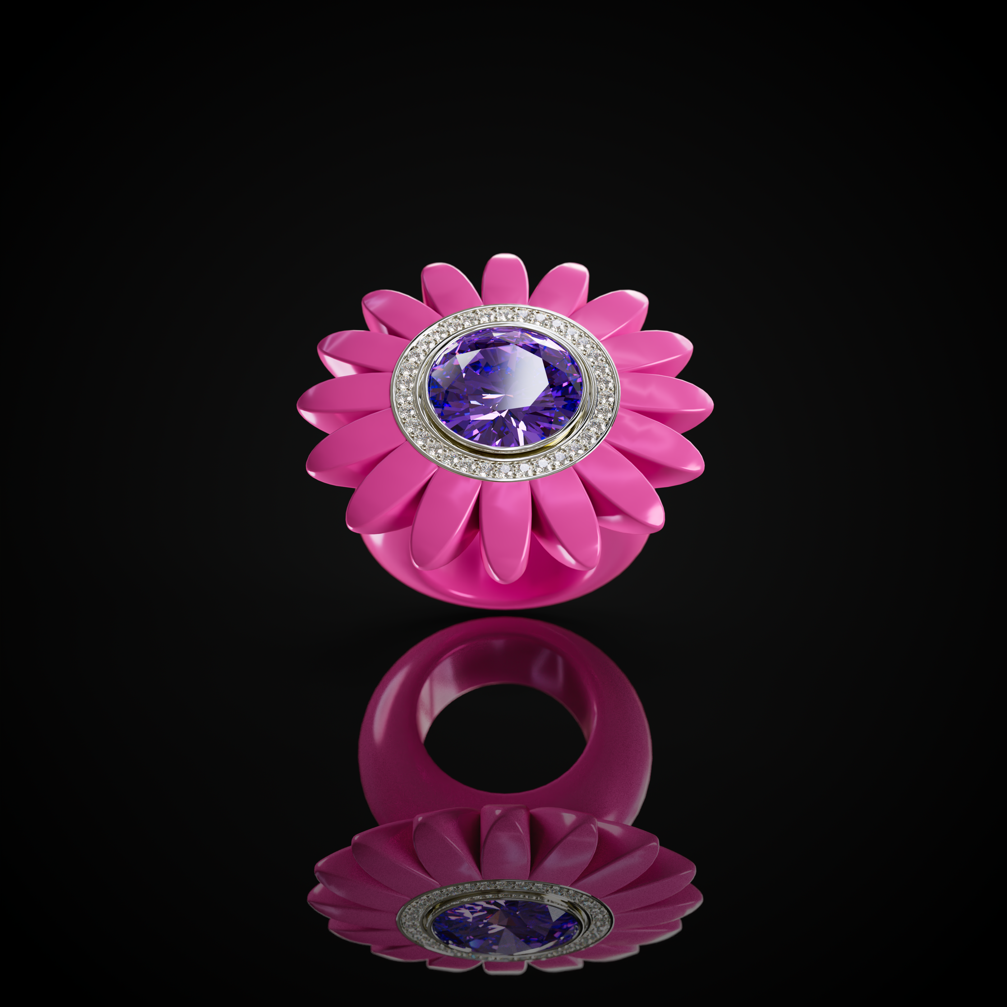 The Barberton Daisy
