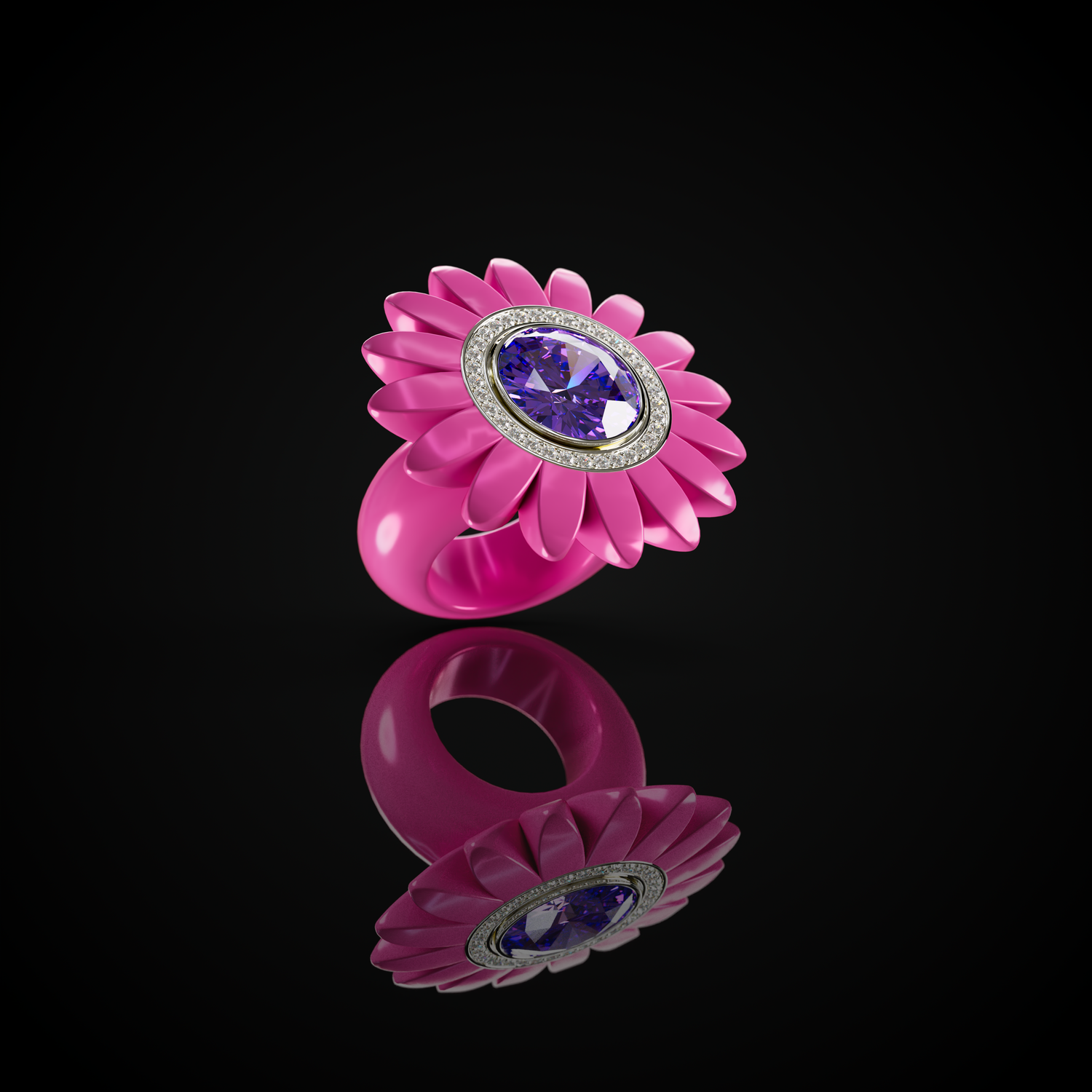 The Barberton Daisy