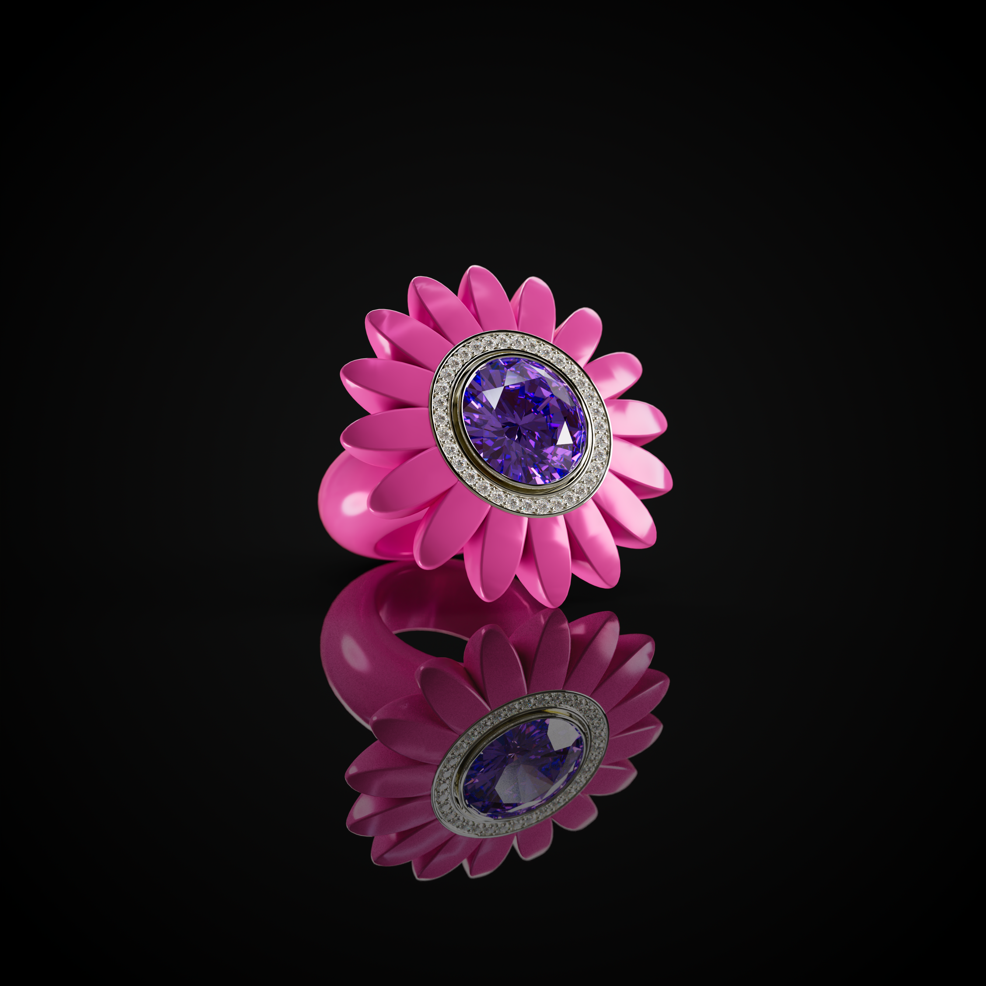 The Barberton Daisy