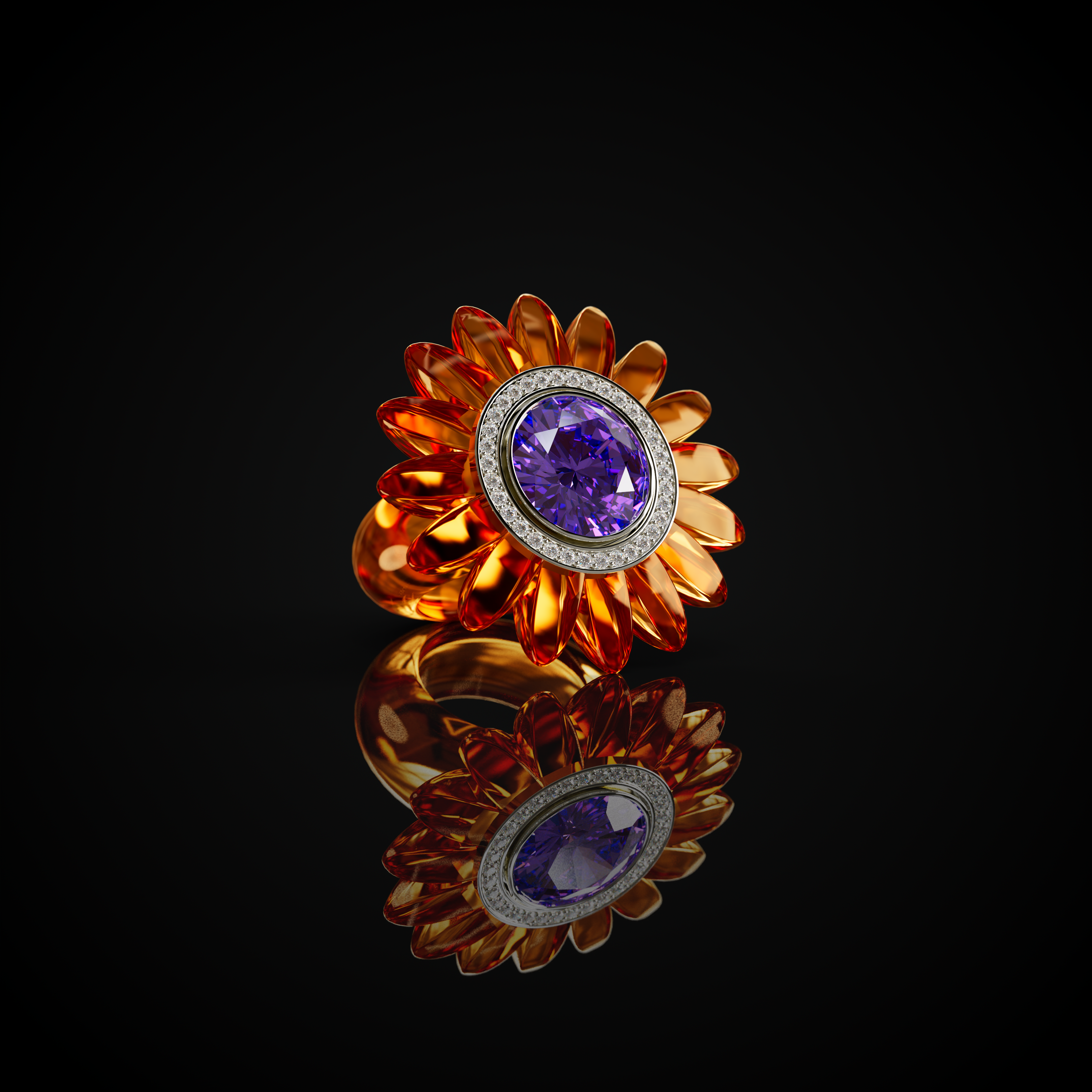 The Barberton Daisy