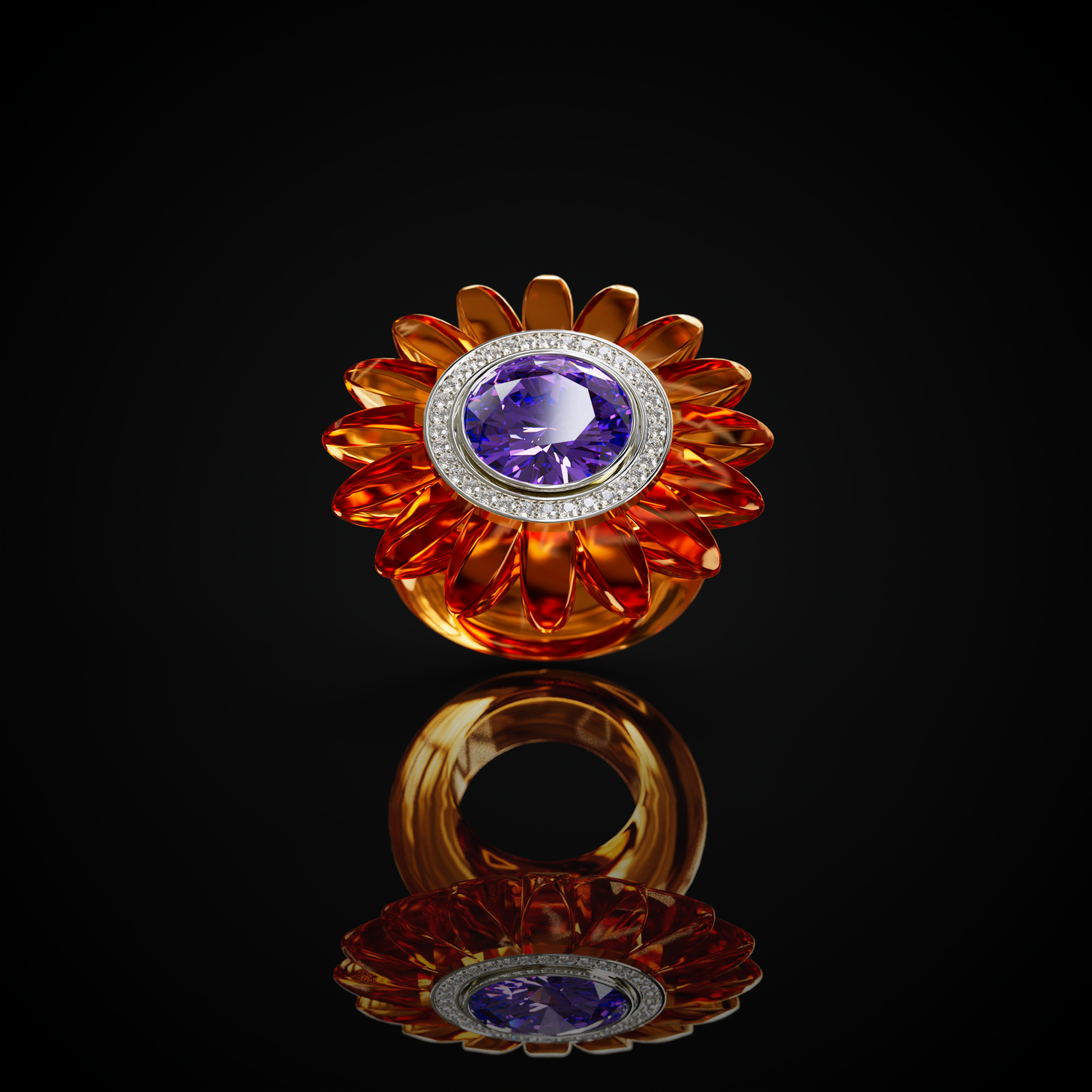 The Barberton Daisy
