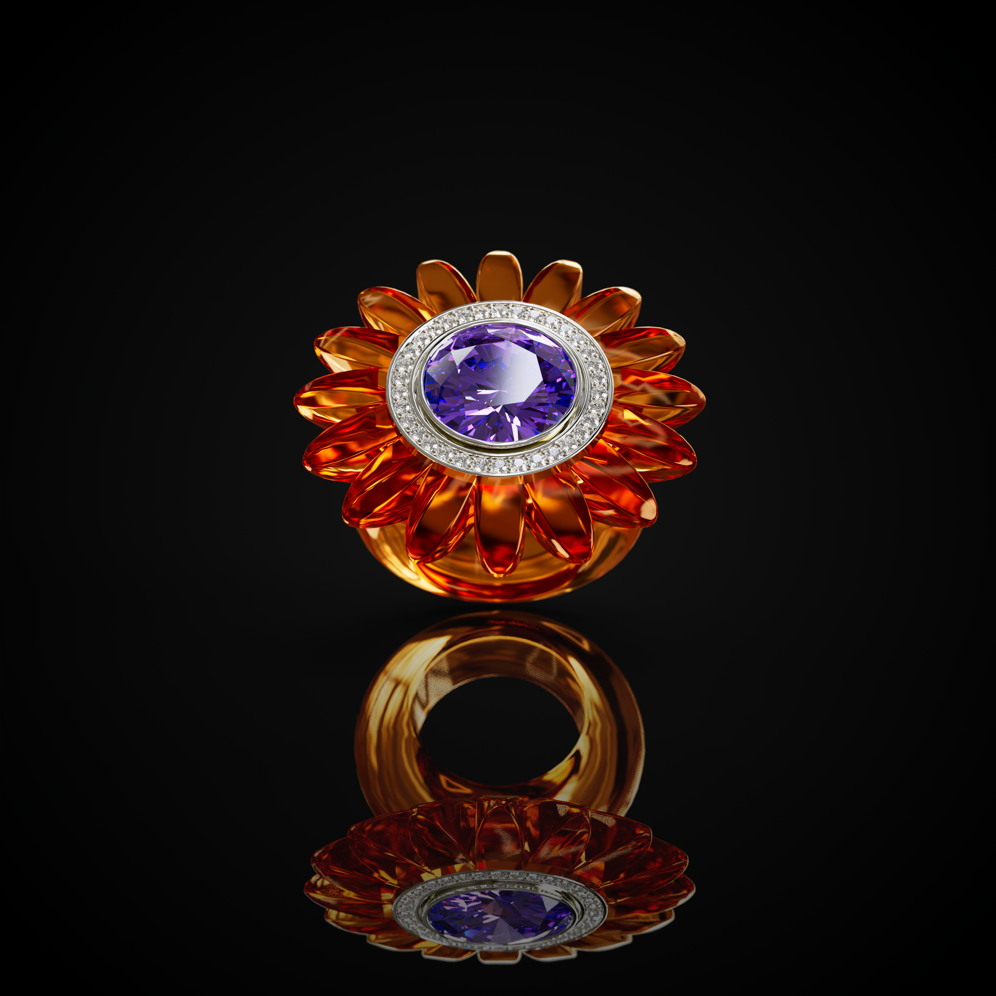The Barberton Daisy
